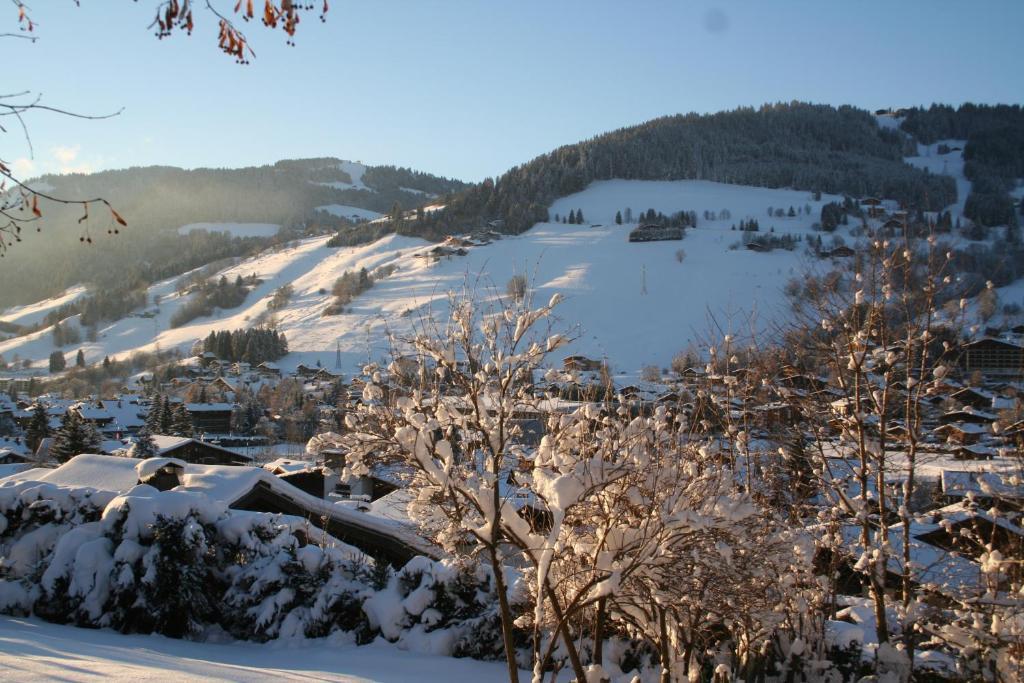 Chalet In Megeve Bed & Breakfast エクステリア 写真